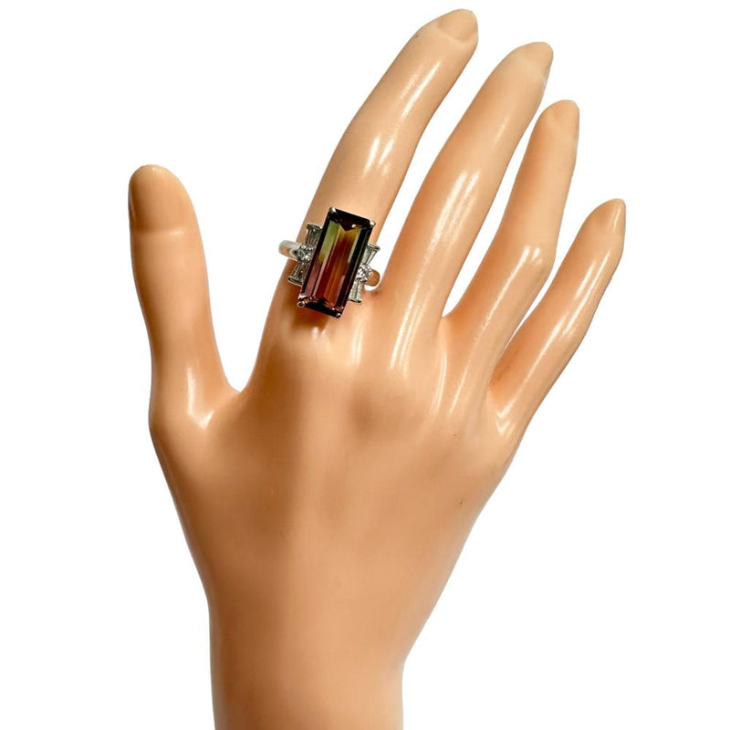 12号 バイカラートルマリン 5.65ct ダイヤモンド 計0.41ct リング・指輪 Pt900プラチナ 9.1g レディース
【中古】【真子質店】【NN】




【KMoS】