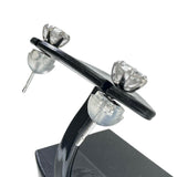 ダイヤモンド(推定I-I2) 0.4×2ct ピアス Pt900プラチナ 0.8g レディース
【中古】【真子質店】【NN】




【Ixx】