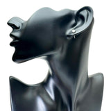 ダイヤモンド(推定I-I2) 0.4×2ct ピアス Pt900プラチナ 0.8g レディース
【中古】【真子質店】【NN】




【Ixx】