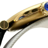 【CARTIER/カルティエ】 マスト ヴァンドーム W1006554 腕時計 シルバー925/レザー/GPメッキ クオーツ ホワイト文字盤/ブラックレザー レディース
【中古】【真子質店】【GD】




【ITMaT】