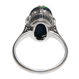 16号 ブラックオパール 5.03ct リング・指輪 Pt850プラチナ/Pm850プラチナ 6.0g レディース
【中古】【真子質店】【NN】




【DSMo】