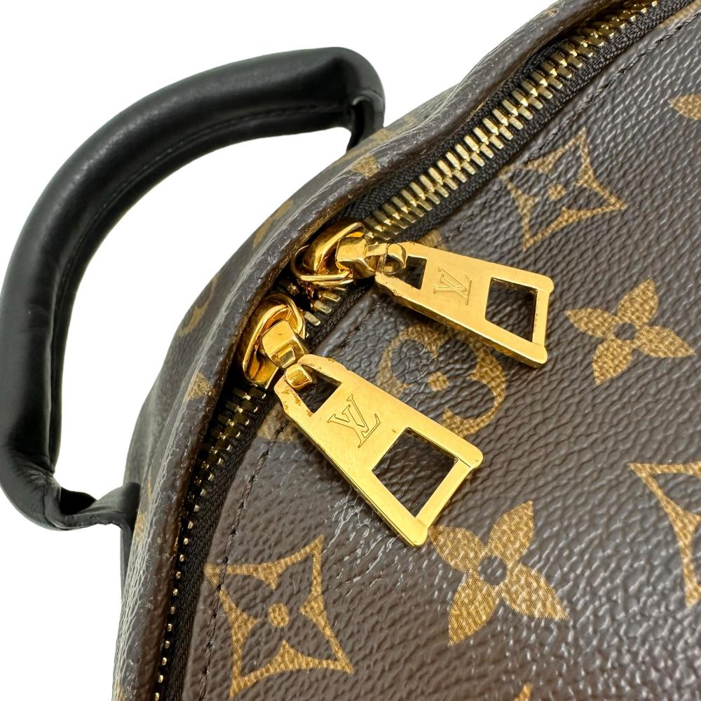 LOUIS VUITTON/ルイ・ヴィトン】 パームスプリングスMM バックパック 