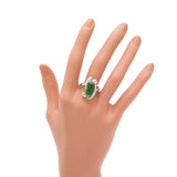 13号 グリーントルマリン 3.12ct ダイヤモンド 計0.35ct リング・指輪 Pt900プラチナ 9.7g レディース
【中古】【真子質店】【NN】




【DSMo】