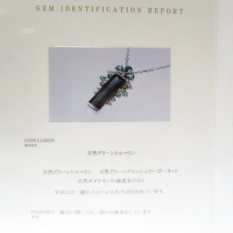 グリーントルマリン 8.17/計1.16ct グリーングロッシュラーガーネット 計0.68ct ダイヤモンド 計0.33ct ネックレス Pt900プラチナ/Pt850プラチナ 18.2g 41cm レディース
【中古】【真子質店】【NN】




【IIMoMo】