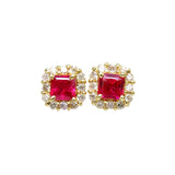 スタッド ルビー 0.14×2ct ダイヤモンド 計0.04×2ct ピアス K18ゴールド 18金 0.9g レディース
【中古】【真子質店】【NN】




【IKY】
