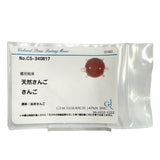 12号 丸玉 血赤サンゴ/珊瑚 12.0mm リング・指輪 K18ゴールド 18金 5.6g レディース
【中古】【真子質店】【NN】




【DDx】